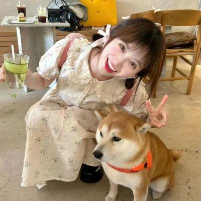 火星情报局第四季